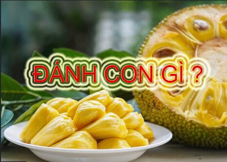 mơ quả mít đánh con gì