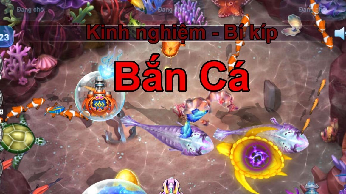 ban ca 10