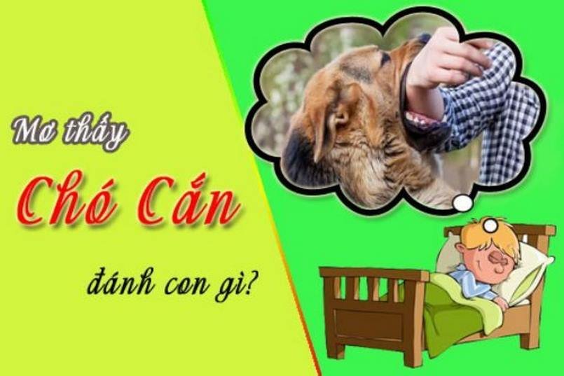 Tìm hiểu ý nghĩa của chiêm bao thấy bị chó cắn